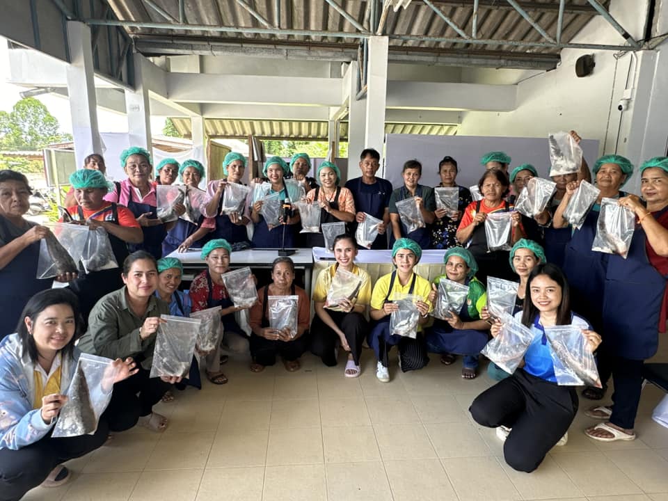 วันพุธ ที่ 28 สิงหาคม 2567 นายสรวุฒิ นาคะพงศ์ นายกองค์การบริหารส่วนตำบลนาโต๊ะหมิง เป็นประธานพิธีเปิดโครงการส่งเสริมการฝึกอาชีพ ประจำปี 2567 กำหนดการอบรมระหว่างวันที่ 28-29 สิงหาคม ณ องค์การบริหารส่วนตำบลนาโต๊ะหมิง โดยมีกิจกรรมการฝึกอบรม 2 กิจกรรม คือ กิจกรรมเลี้ยงปลาดุก และกิจกรรมการแปรรูป เพื่อต่อยอดสร้างอาชีพให้ประชาชนต่อไป
